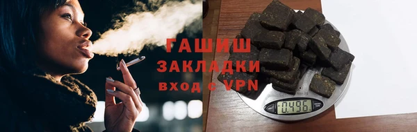ГАЛЛЮЦИНОГЕННЫЕ ГРИБЫ Козловка