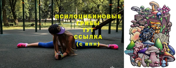 круглые Алзамай