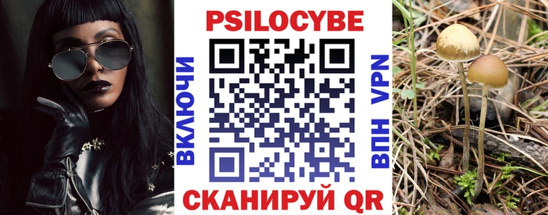 Галлюциногенные грибы Magic Shrooms хочу наркоту гидра ССЫЛКА Орехово-Зуево